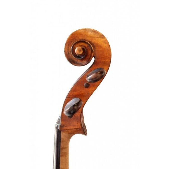 Violoncello (1899)