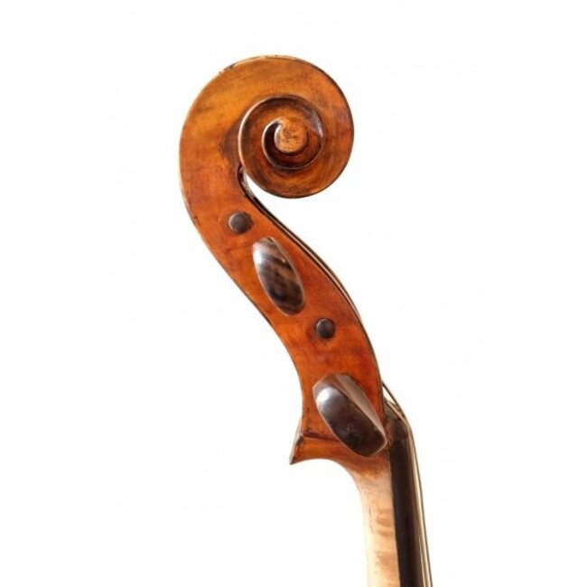 Violoncello (1899)