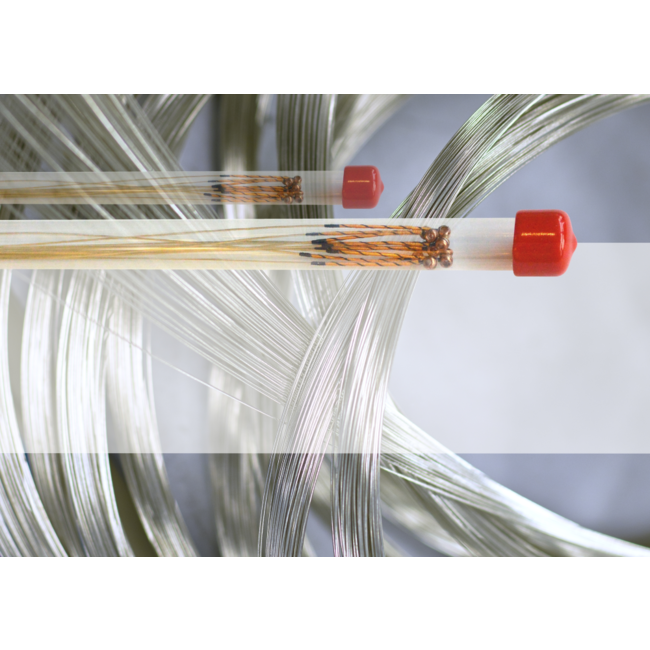 Il Cannone cello strings