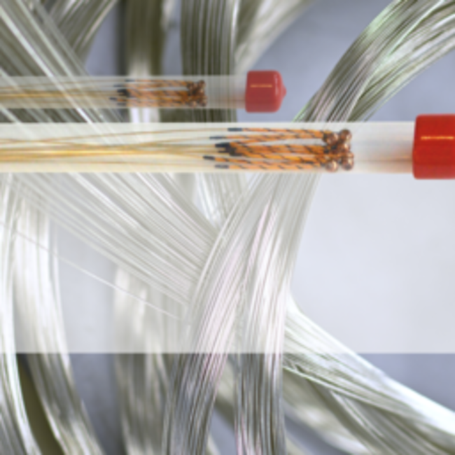 Il Cannone violin strings