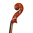 Maestro Cello