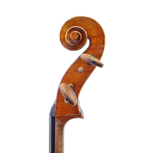 Maestro Cello