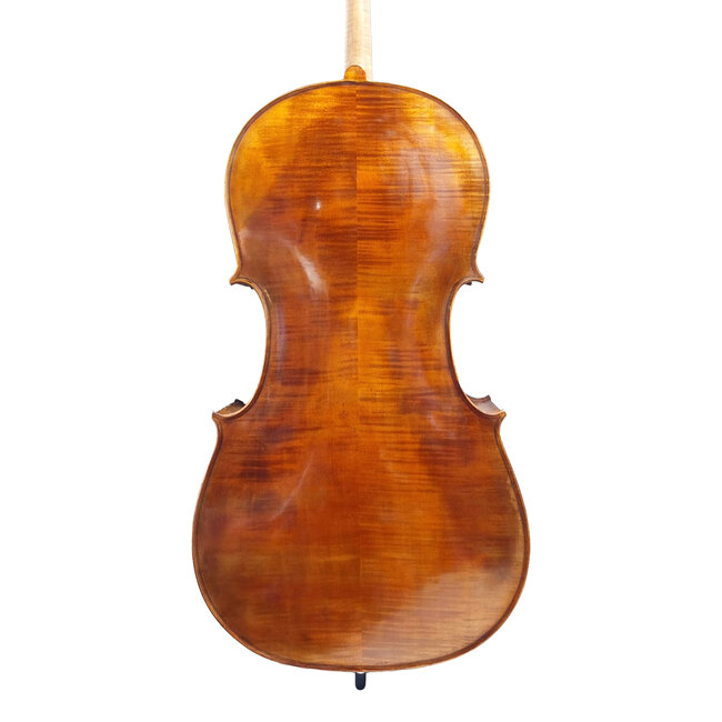 Cello Benedetti copy 1962