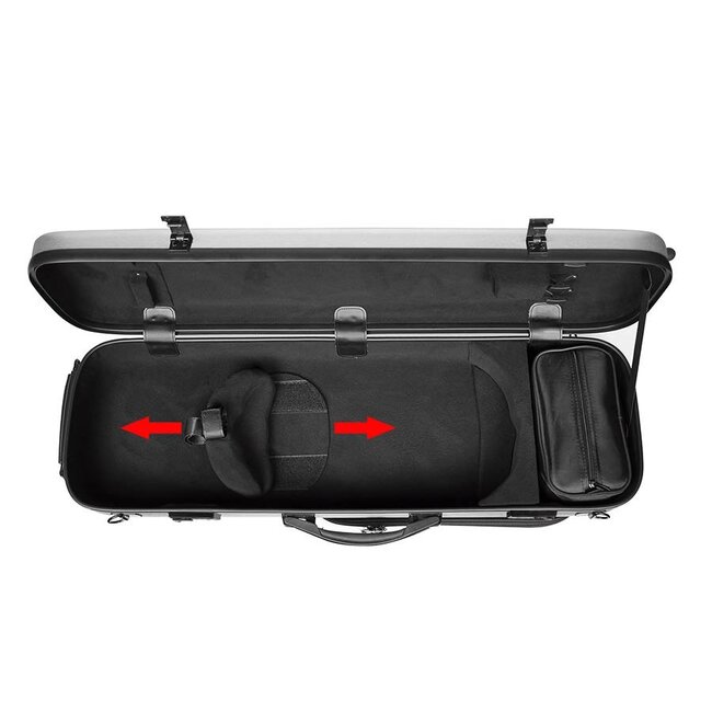 Violin case