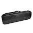 Violin case
