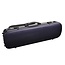Violin case