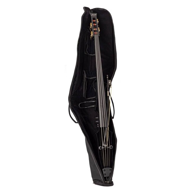 Electric Double Bass