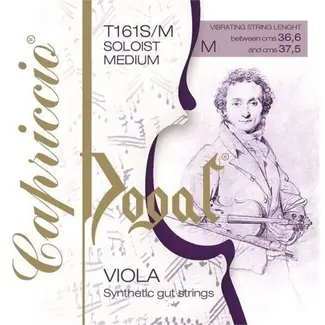 Dogal Capriccio Solist viola strings