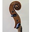 Viool  Guarneri model
