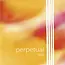 Perpetual Orchester Kontrabas Saiten