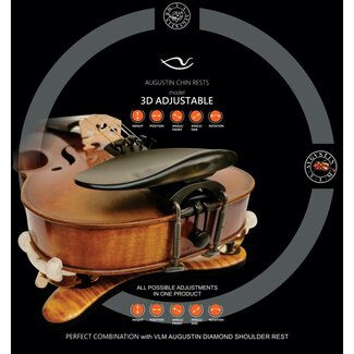 Viva la Musica Kinsteun Violine Augustin 3-D