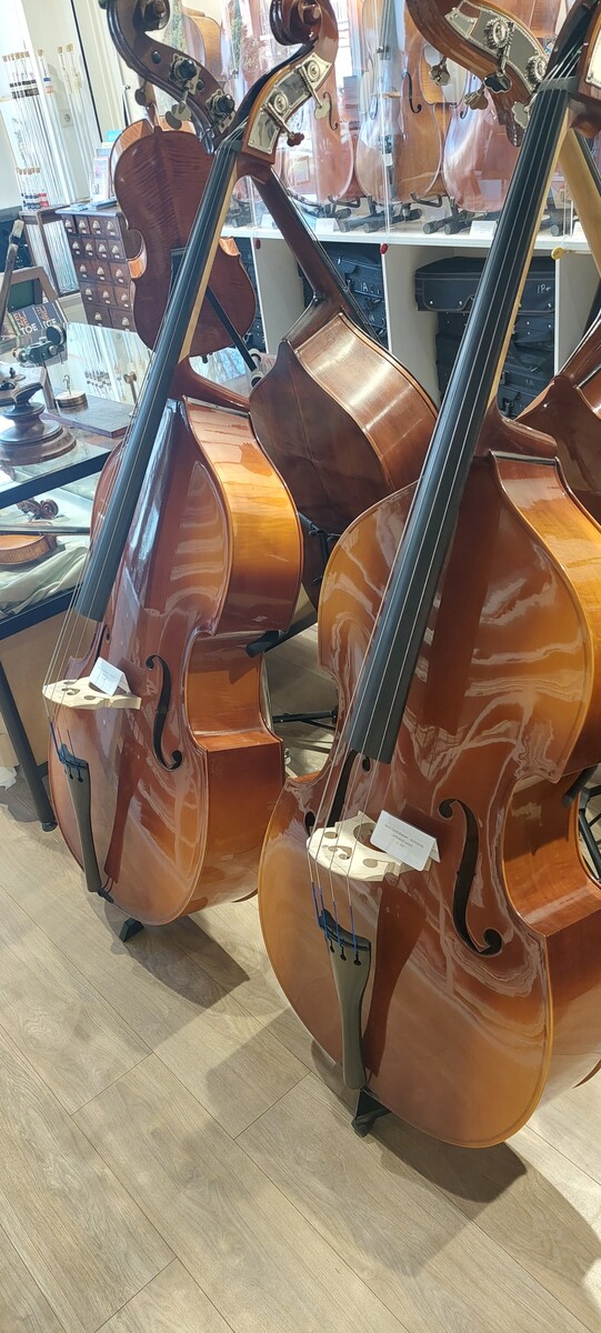 Contrabassen in onze winkel in Den Haag
