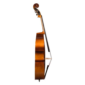 Hora Gold Contrabasset