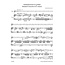 Concert Pieces (Op. 12, 13 en 22)