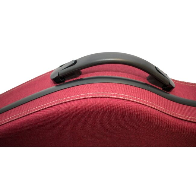 Violin case