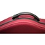 Violin case