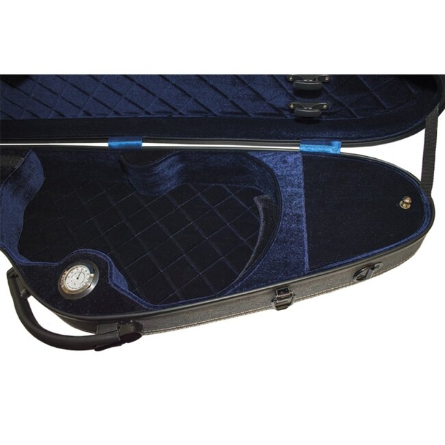 Aileen - Violin case