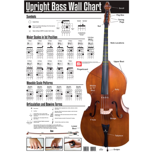 Wall Charts bowed instruments