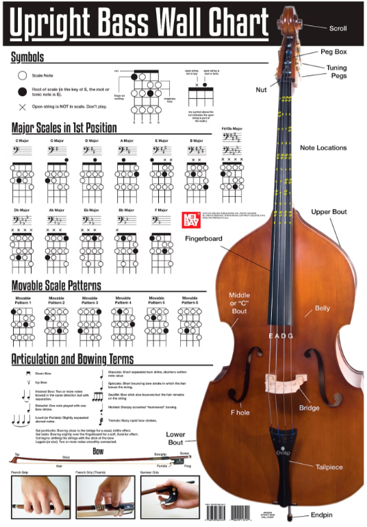 Wall Charts bowed instruments - BowedInstrumentsShop