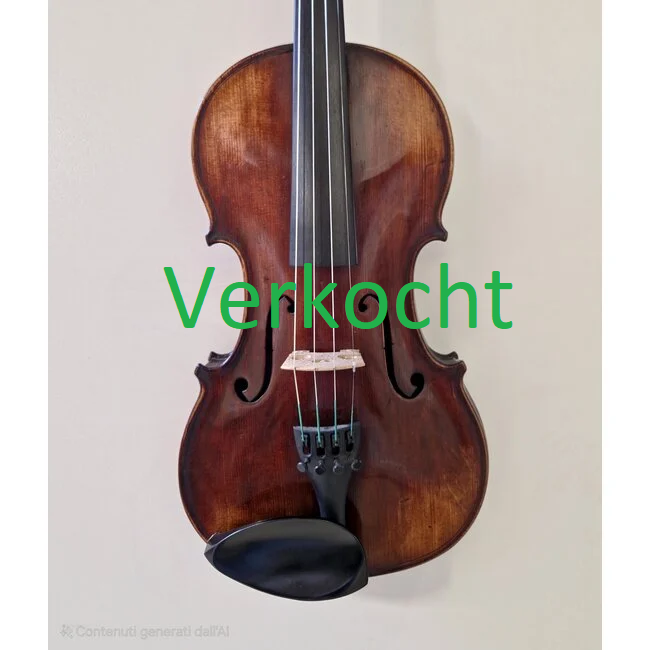 Viool Mathias Neuner