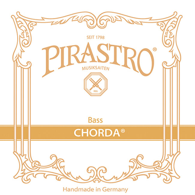 Chorda contrabassnaren