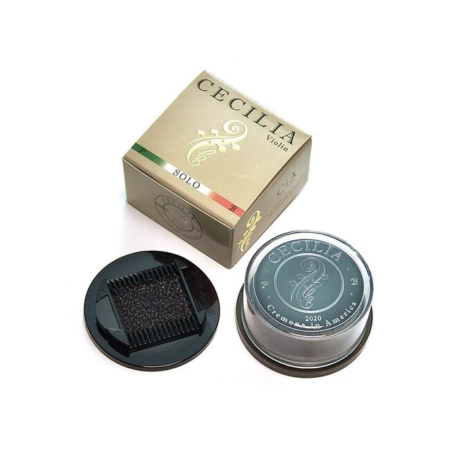 Cecilia Rosin (formerly Andrea)