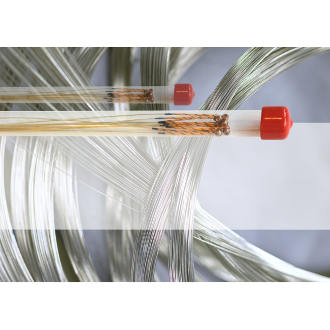 Il Cannone Soloist violin strings