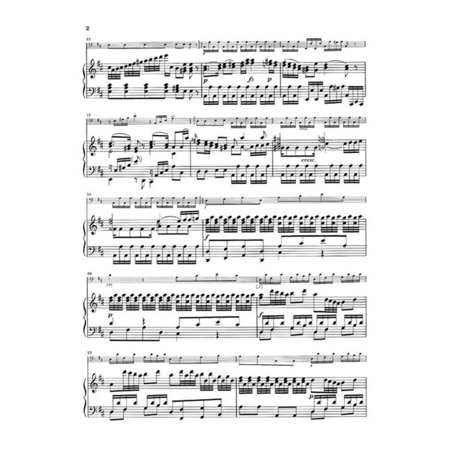 Violoncello Concerto In D Major