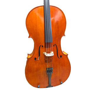 Domenico fantin in Varese Italiaanse cello