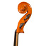Italiaanse cello