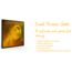 Pirastro Evah Pirazzi Gold violin strings