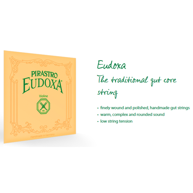 Eudoxa violin strings