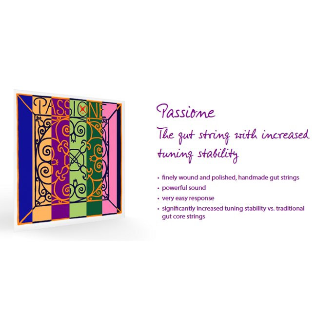 Passione violin strings