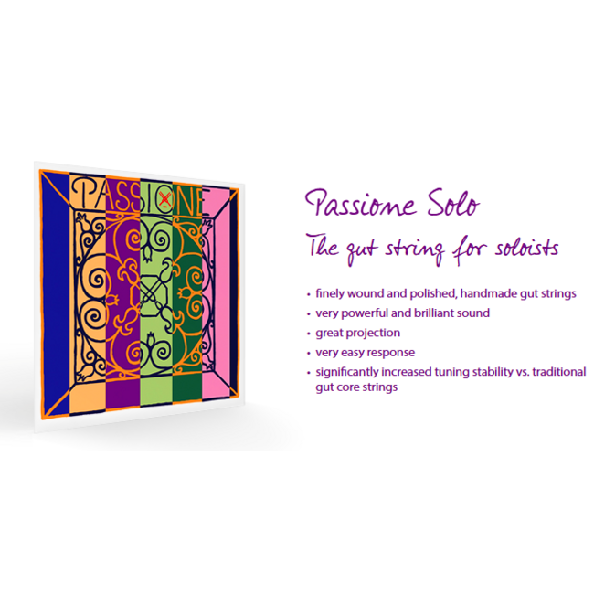 Passione Solo violin strings