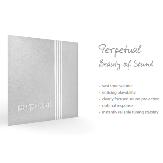 Perpetual violin strings