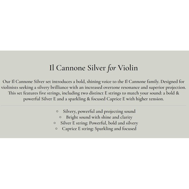 Il Cannone Silver vioolsnaren