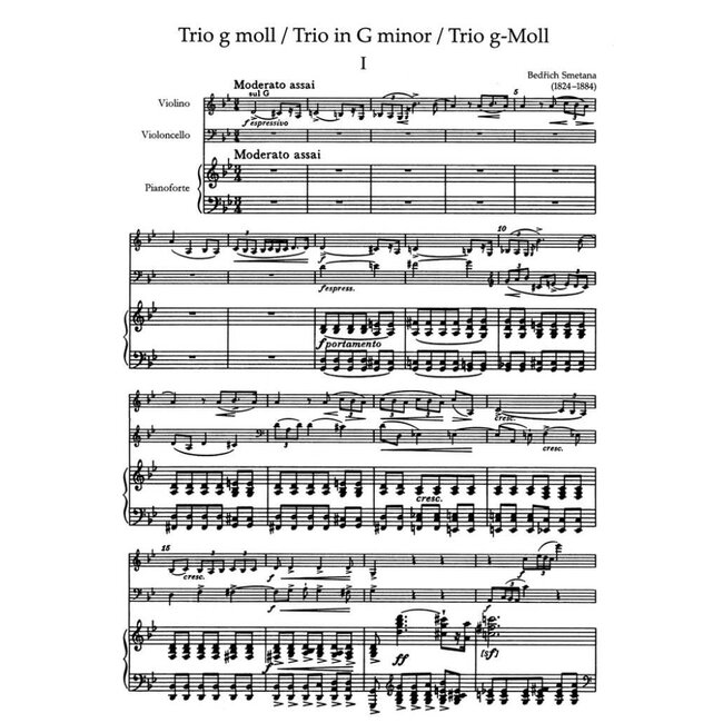 Trio in g Minor Op.15