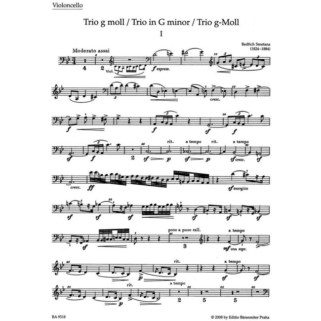 Trio in g Minor Op.15