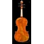 Elektrische Violine Satz