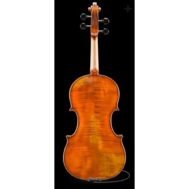 Electric viola set
