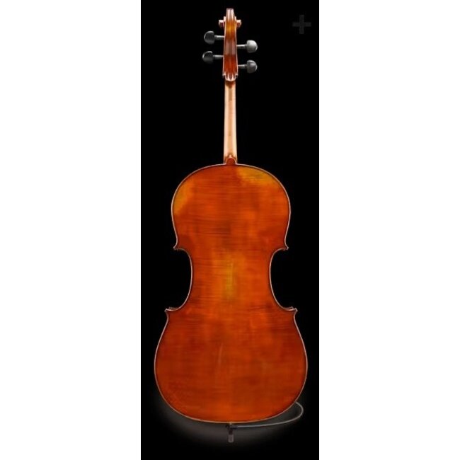 Elektrische celloset