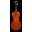 Elektrische Cello Satz