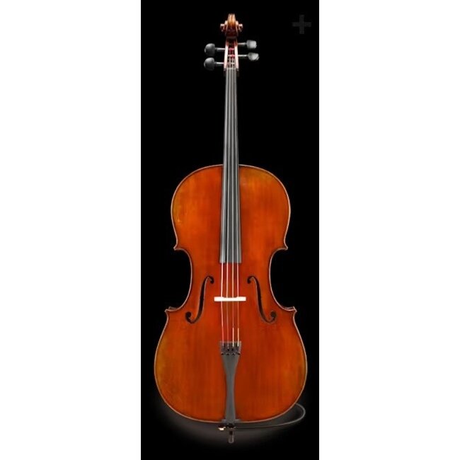 Elektrische celloset