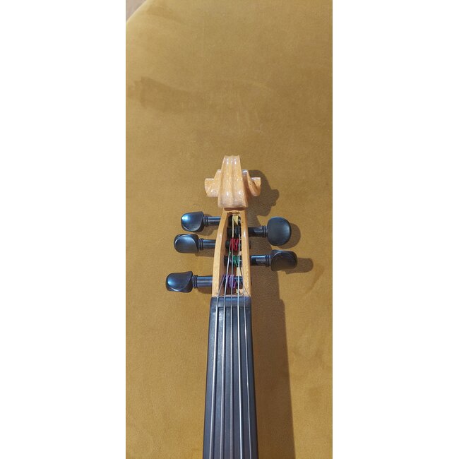 5-string electric violin set