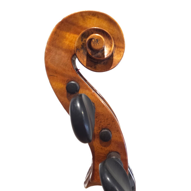 Saksische cello