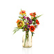 Coffret cadeau Colourful Dream Coffret cadeau Colourful Dream