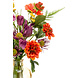 Coffret cadeau Colourful Dream Coffret cadeau Colourful Dream