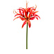 Fleur artificielle Hippeastrum orange 73 cm Fleur artificielle Hippeastrum orange 73 cm