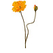 Fleur artificielle Coquelicot x2 jaune 74 cm Fleur artificielle Coquelicot x2 jaune 74 cm