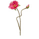 Fleur artificielle Coquelicot x2 rose 74 cm Fleur artificielle Coquelicot x2 rose 74 cm